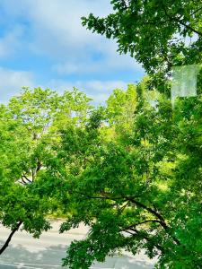 Pärnu Riverside Stay - Pet friendly