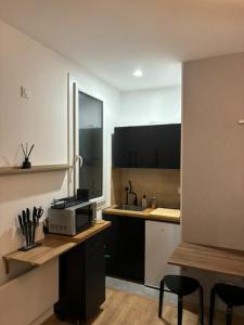 Appartements Studio Quai Claude Bernard : photos des chambres