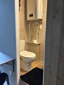 Appartements Studio Quai Claude Bernard : photos des chambres