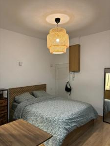 Appartements Studio Quai Claude Bernard : photos des chambres