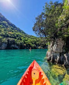 Appartements -Le Toit Terrasse - : photos des chambres