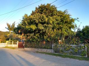 Morada do rosa ouvidor