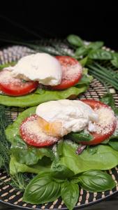 Kupolmāja Ārpus laika - Domehouse in the forest