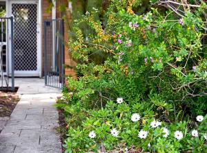 Cottesloe Studio Getaway