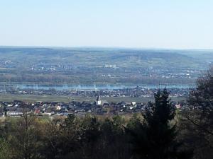 Zum Rebhang Bed & Breakfast