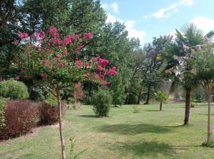 Maisons de vacances Cottage with swimming pool, pool house and view ! : photos des chambres