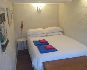 5 Glanrhaiadr Llangrannog