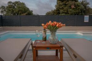 New amazing holiday house with pool