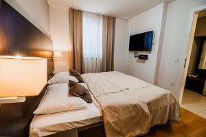 Apartment Residence Marina Portorož LEVANT 203&202