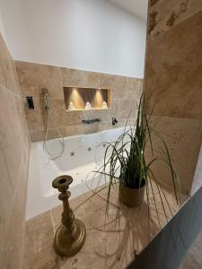 Maisons d'hotes Suite Luxe Balneo : photos des chambres