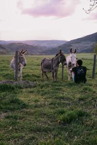 La Cabane de Pierrot