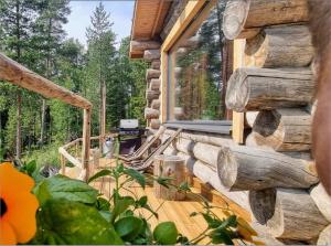 Log Cabin with sauna by Invisible Forest Lodge