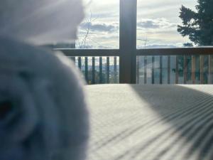 Hobart Heritage Home - Close to CBD & Airport