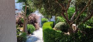 Hidden Gem with Sunset in the Aegean Sea, Two Traditional Homes in Ano Vathy, Samos