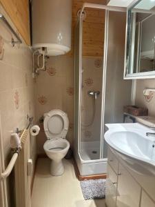 Appartements Cozy studio Auron 4 personnes : photos des chambres