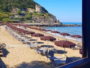 APPARTAMENTO in seminterrato PALMAROLA