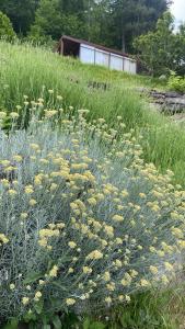 Suxen nature experience - lodge con vista panoramica