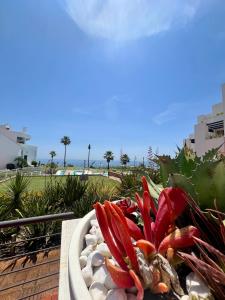 TOP SEAVIEW LUXURY Casares del Mar