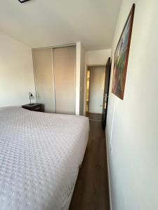 Departamento céntrico