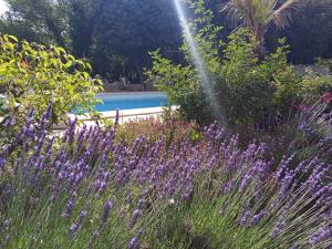 B&B / Chambres d'hotes Le Mas des Baux : photos des chambres