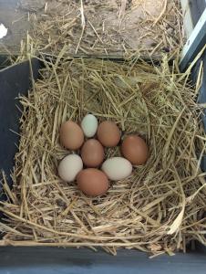 Villas Family villa with pool in Aix-en-Provence : photos des chambres