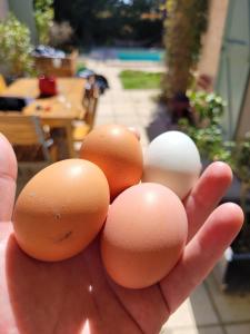 Villas Family villa with pool in Aix-en-Provence : photos des chambres