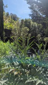 Villas Family villa with pool in Aix-en-Provence : photos des chambres