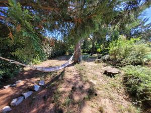 Villas Family villa with pool in Aix-en-Provence : Villa