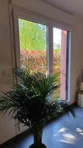 Appartements Le Loft de Genas - La Cabane : photos des chambres
