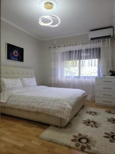 The Center Spot Shkoder