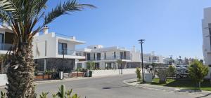 Modern Luxury Apartment