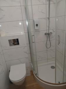 APARTAMENTY CENTRUM Bojary