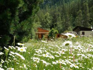 Chalets Gite de charme 3 etoiles : photos des chambres