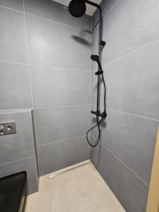 Mihai Nesu Foundation Apartments