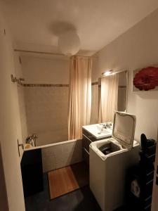 Appartements Studio charmant a Clermont-Ferrand, 31 m² : photos des chambres