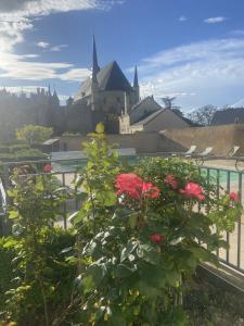 Hotels Le Relais du Bellay : photos des chambres