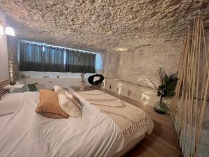 Splendide appartement troglodyte à 5 min du centre