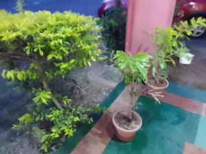 2 bedroom apartment with 2 pools