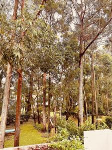 CASA TOSSA en Solanas Vacation Club