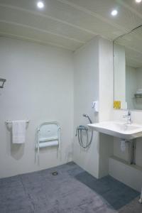 Hotels Hotel Les Rives Bleues : Chambre Double Accessible aux Personnes à Mobilité Réduite - Rez-de-Chaussée