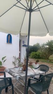 Frida home