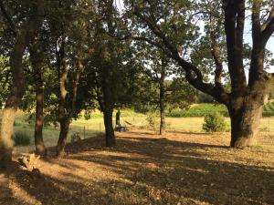 Maison de caractère