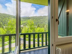 Apartment Vallesinella by Interhome