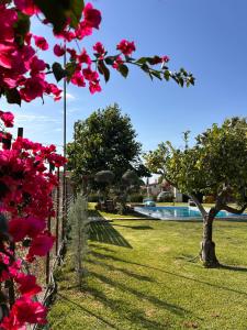 ΚΤΗΜΑ ΔΙΑΜΑΝΤΟΠΟΥΛΟΥ Παραθεριστική κατοικία