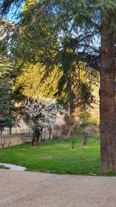 Maisons de vacances Charming Cohola gite, all comforts : photos des chambres