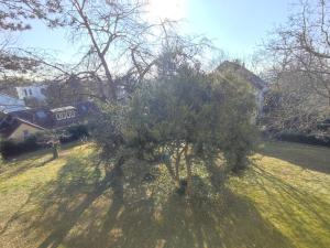 Charming Apartment with a Tranquil Balcony Garden View