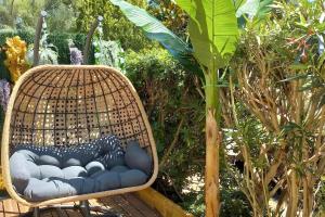 Coconhut Studio - Terrace - Pool