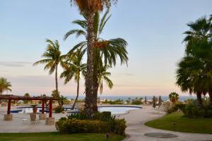 Spectacular 2 BR Oceanview Penthouse