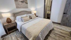 New & Luxury Apartment 1 BR In San Andres