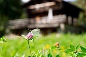 Grand Chalet Verbier